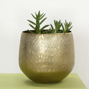 Metal planter indoors : Topp Brass