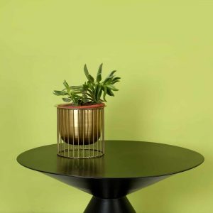 indoor planter : topbrass