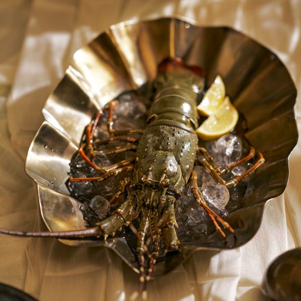 Shell oval platter